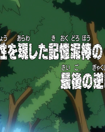 Episode 224 One Piece Wiki Fandom