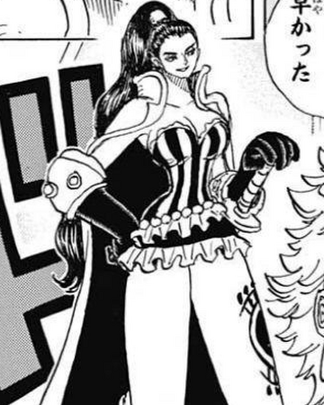 Charlotte Cinnamon One Piece Wiki Fandom