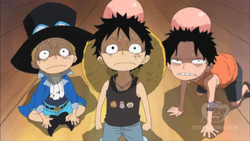 Luffy, Sabo et Ace petits