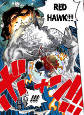Red Hawk