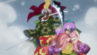 Kozuki Hiyori One Piece Wiki Fandom