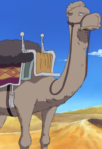Animal Species Alabasta Saga One Piece Wiki Fandom