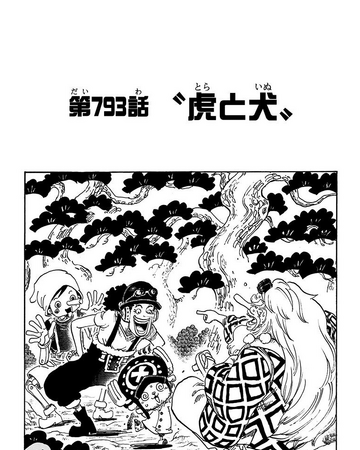 One Piece 793