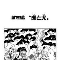 One Piece 793