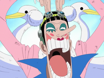 Mane Mane No Mi One Piece Wiki Fandom