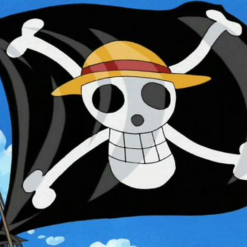 Straw Hat Pirates One Piece Wiki Fandom