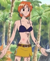 176px-Namilgbikini