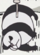Doskoi Panda