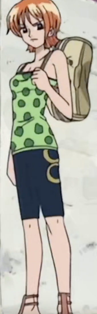 Nami Gallery One Piece Wiki Fandom