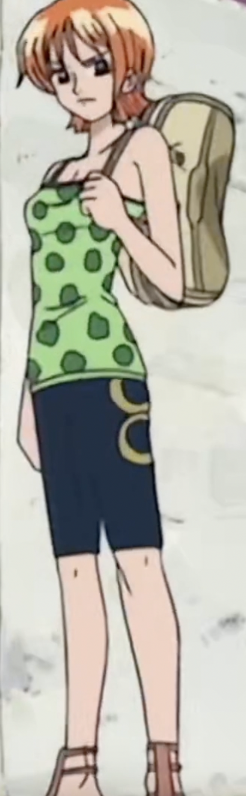 Image  Nami's Outfit Arlong Park Arc.png  One Piece Wiki  FANDOM