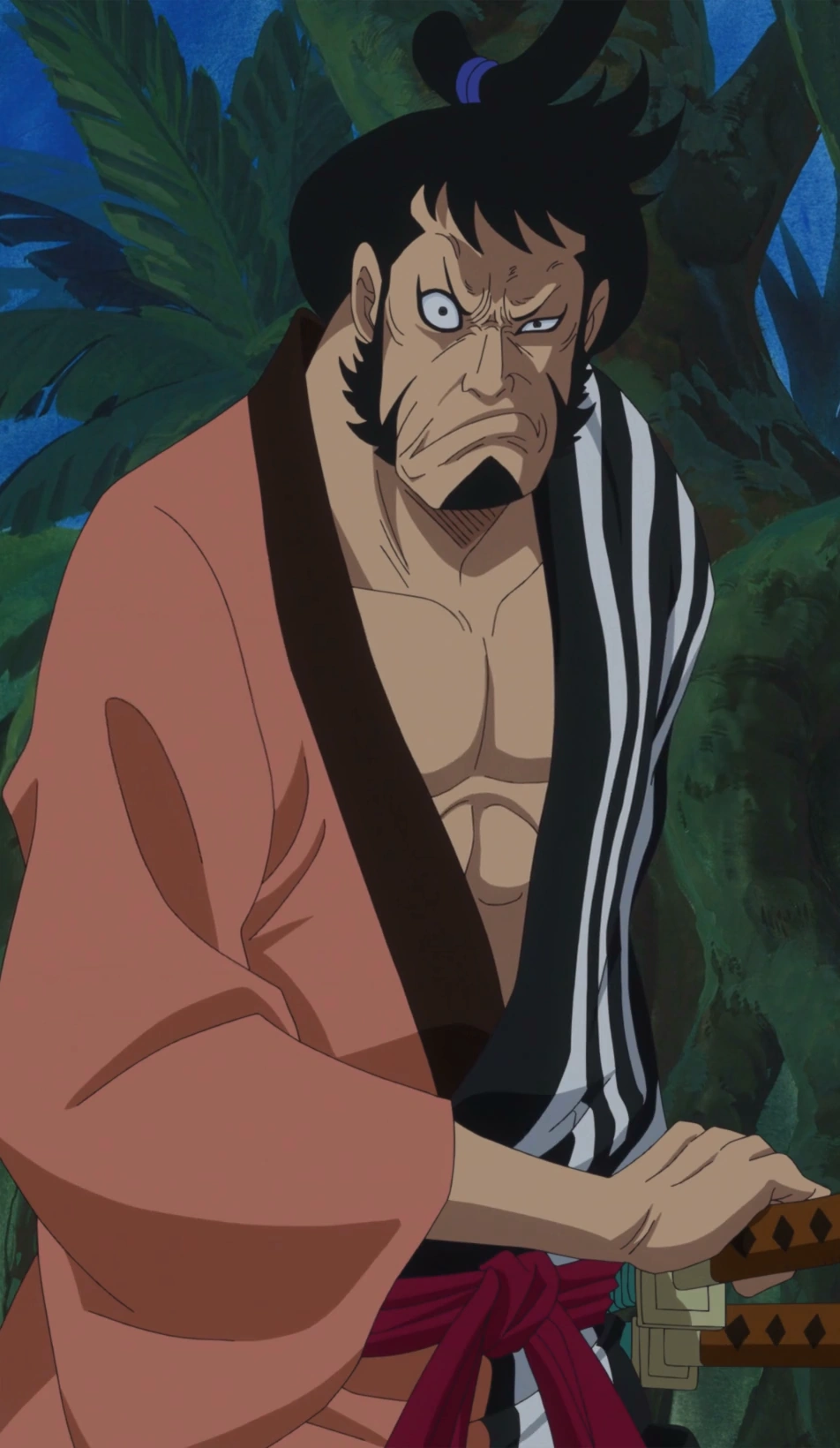Kin'emon One Piece Wiki Italia FANDOM powered by Wikia