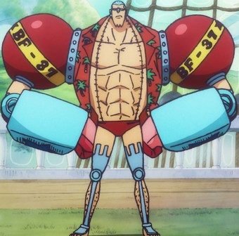 Franky History During And After The Timeskip One Piece Wiki Fandom