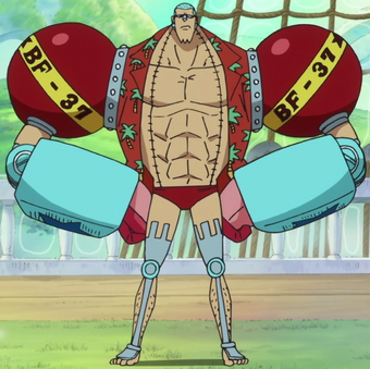 Franky Wikia One Piece Fandom