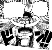 Shirohige gibt einen Befehl