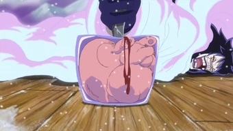 Monet | One Piece Wiki | Fandom