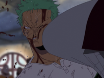 Do Not Fight Zoro