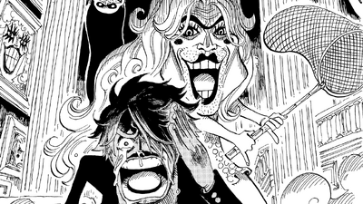 Discuss Everything About One Piece Wiki Fandom