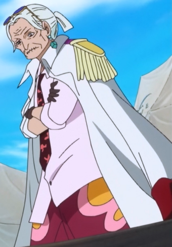 Tsuru Wikia One Piece Fandom