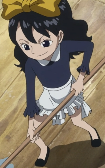 Baby 5 One Piece Wiki Fandom