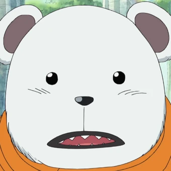 Bepo One Piece Wiki Fandom