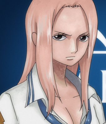 Hina One Piece Wiki Fandom