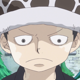 Donquixote Pirates One Piece Wiki Fandom