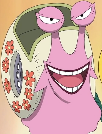 Den Den Mushi Gallery One Piece Wiki Fandom