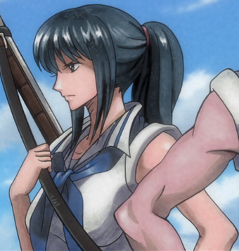 Tsuru One Piece Wiki Fandom