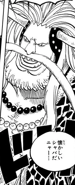 Avalo Pizarro One Piece Wiki Fandom