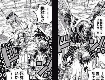 Nekomamushi One Piece Wiki Fandom