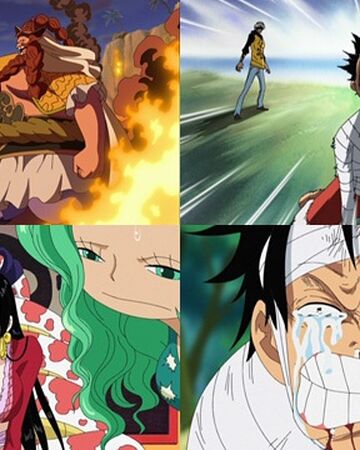 Episodio 491 One Piece Wiki Fandom
