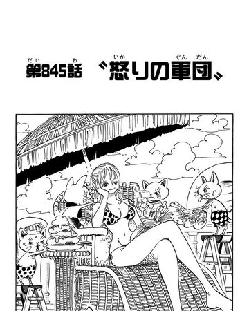 Chapter 845 One Piece Wiki Fandom