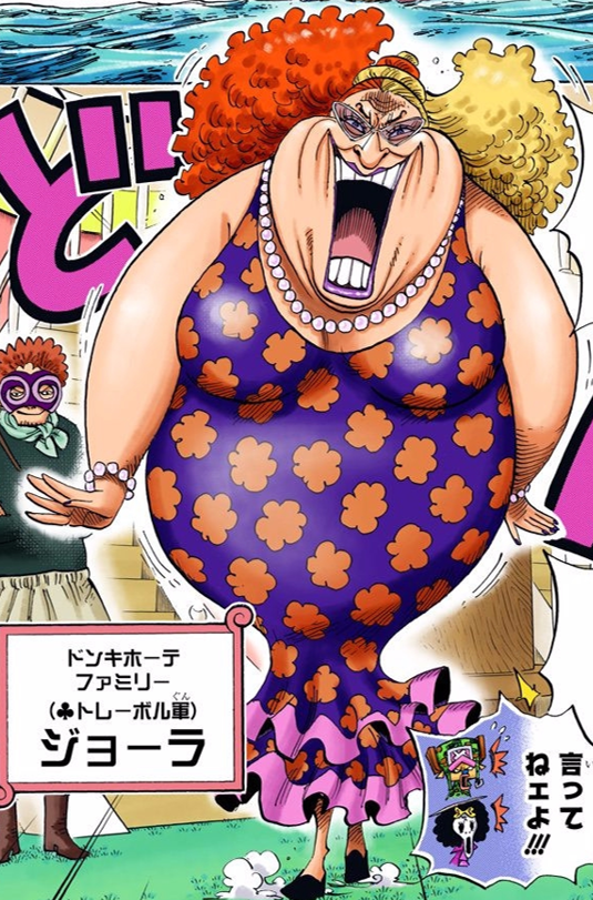 Giolla One Piece Wiki Fandom