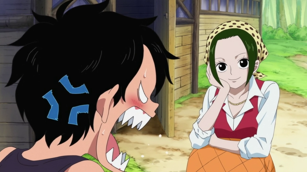 one piece luffy mother