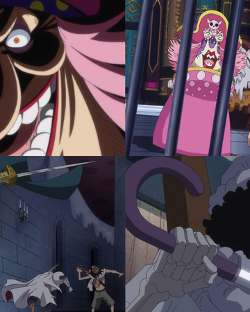 Episodio 813 One Piece Wiki Fandom