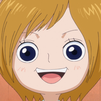 Sun Pirates One Piece Wiki Fandom