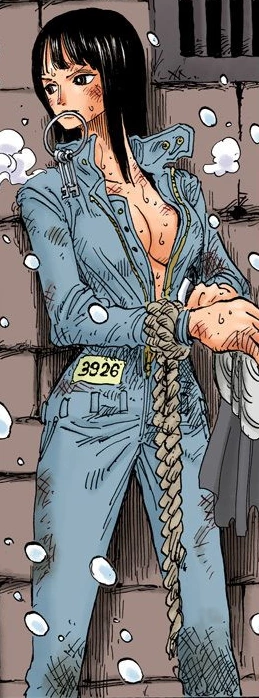 Nico Robin Gallery One Piece Wiki Fandom