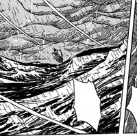Triangle De Florian One Piece Encyclopedie Fandom