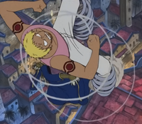 Bane Bane no Mi Anime Infobox
