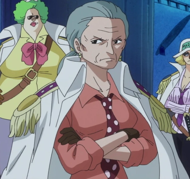 Image Tsuru à 63 Ans.png One Piece Encyclopédie FANDOM powered by