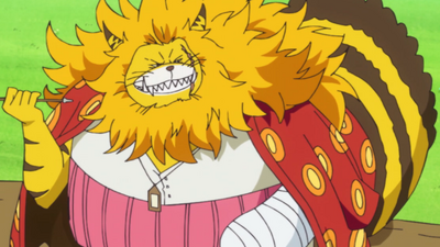 Discuss Everything About One Piece Wiki Fandom