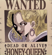 Honey Queen taglia