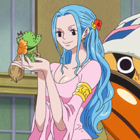 Nefertari Vivi One Piece Wiki Fandom