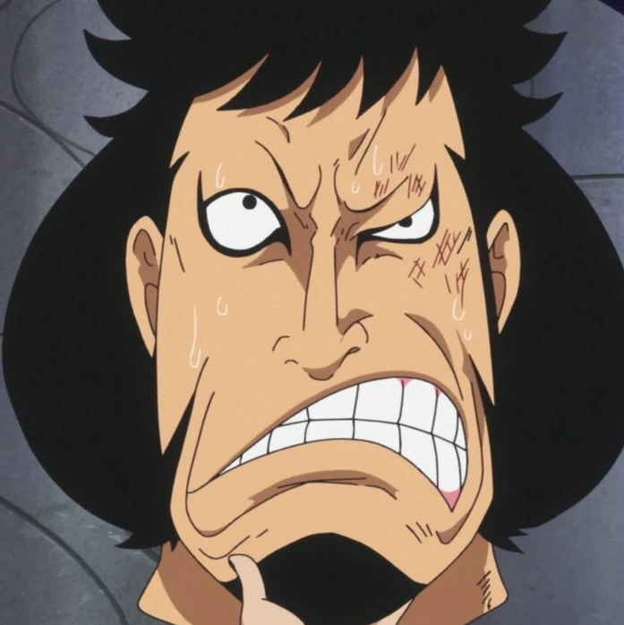 Kin'emon One Piece Wiki FANDOM powered by Wikia