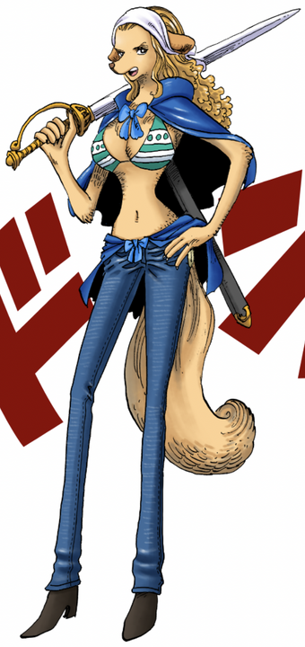 Wanda One Piece Wiki Fandom