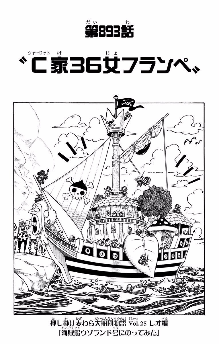 Chapter 893 | One Piece Wiki | Fandom