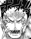 Katakuri's gezicht