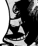 Kaido Silhouette