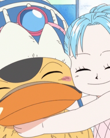 Pet One Piece Wiki Fandom