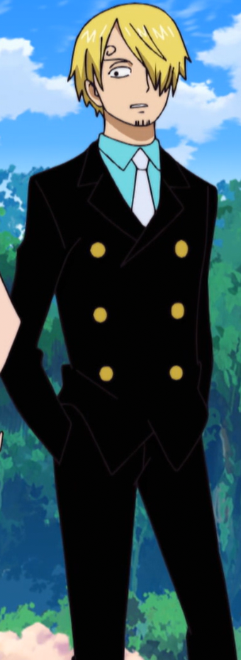 Sanji One Piece Wiki Fandom - luffy pants time skip roblox